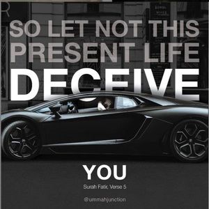 Meet your Posher, Nickie